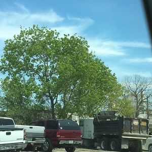 Meet your Posher, Lorena